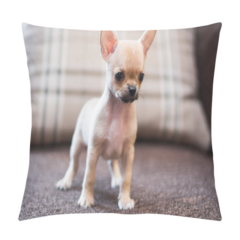 Personality  Chihuahua Puppy Spitz Dog Pet Yorkshire Terrier Pillow Covers