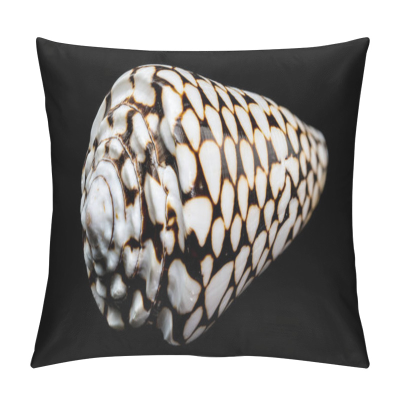 Personality  A Striking Close-up Of The Conus Marmoreus Shell, Showcasing Its Intricate Black-and-white Marbled Pattern On A Smooth Surface, Isolated Against A Sleek Black Background Pillow Covers