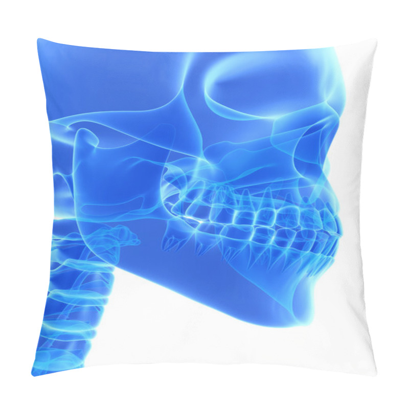 Personality  3D Illustration Of Mandible, Medical Concept. Pillow Covers