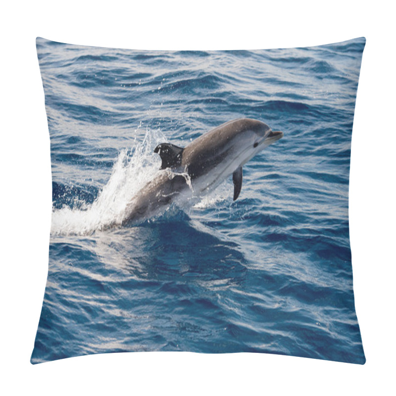 Personality  Dolphins While Jumping In The Deep Blue Sea Pillow Covers