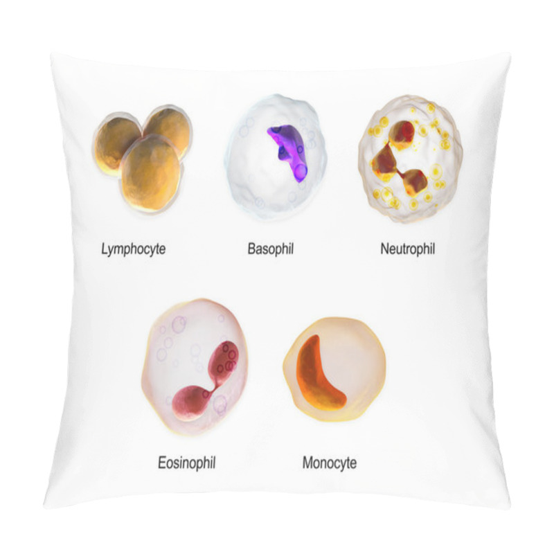 Personality  White Blood Cells - Lymphocyte, Basophil, Neutrophil, Eosinophil, Monocyte Pillow Covers