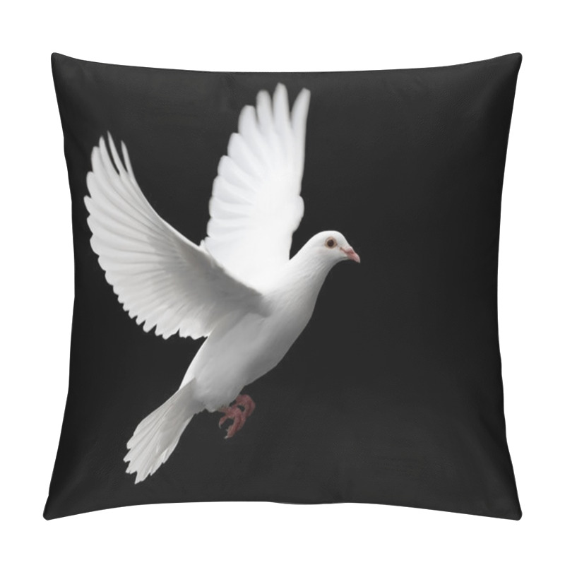 Personality  White Dove In Flight 1 Pillow Covers