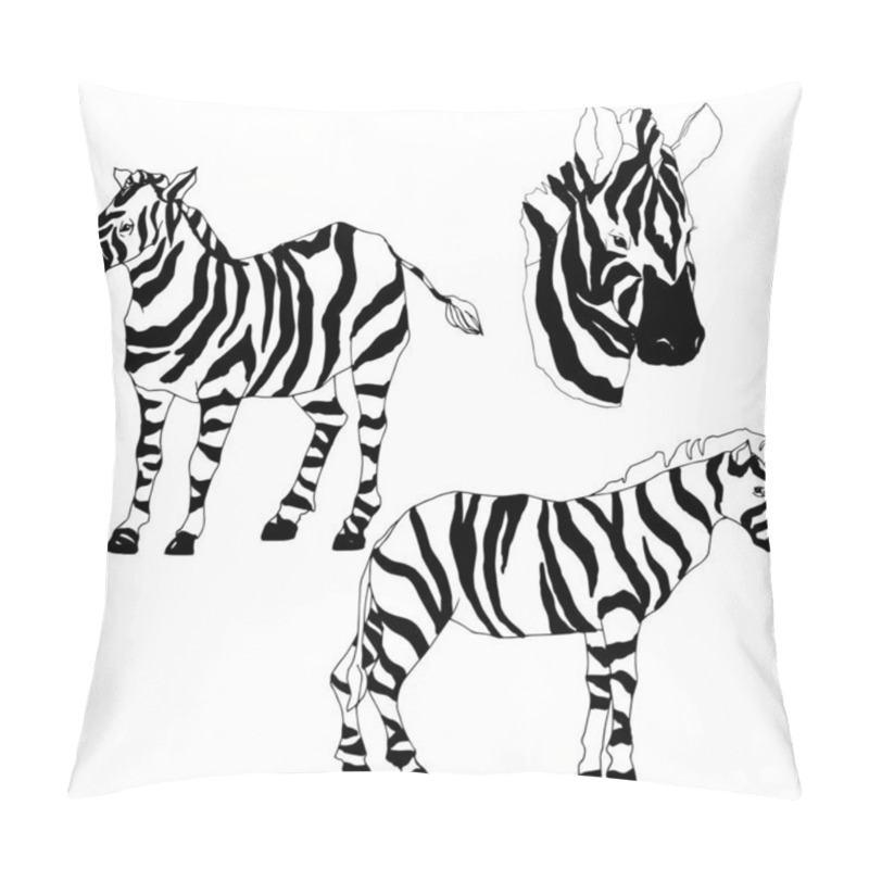 Personality  Vector Exotic Zebra Wild Animal Isolated. Black And White Engraved Ink Art. Isolated Animal Illustration Element. Pillow Covers