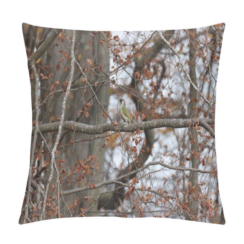 Personality  Green Woodpecker Sitting On A Branch In The Forest Germany Pillow Covers