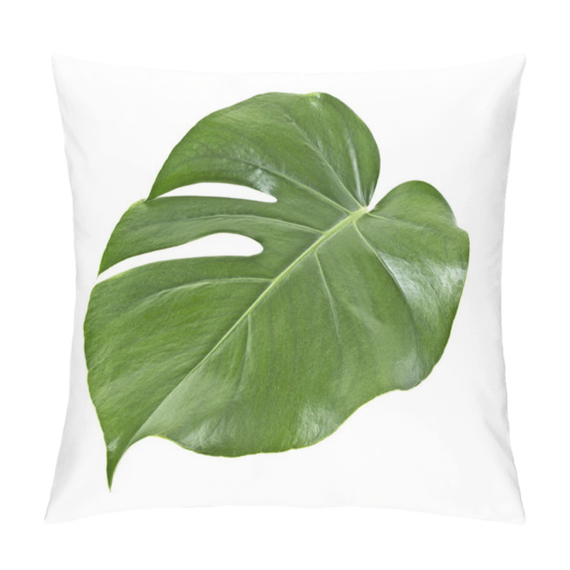 Personality  Monstera Plant Leaf Isolated On A White Background. Tropical Eve Pillow Covers