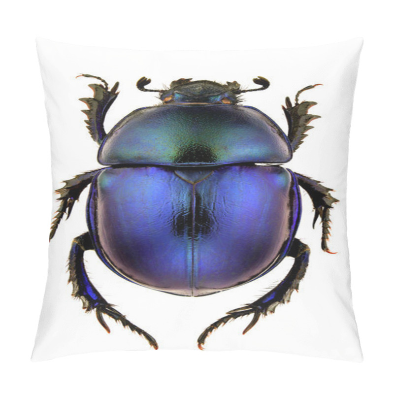 Personality  Female Of Trypocopris Vernalis Isolated On White Background. Pillow Covers