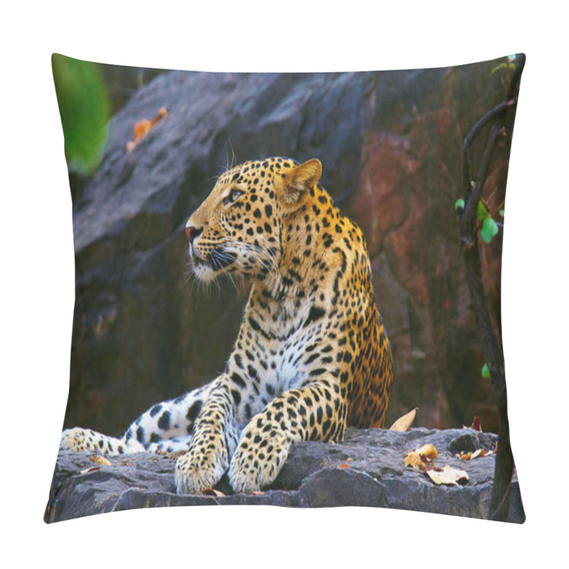 Personality  Indian Leopard, Panthera Pardus Fusca, Ranthambhore Tiger Reserve, Rajasthan, India Pillow Covers