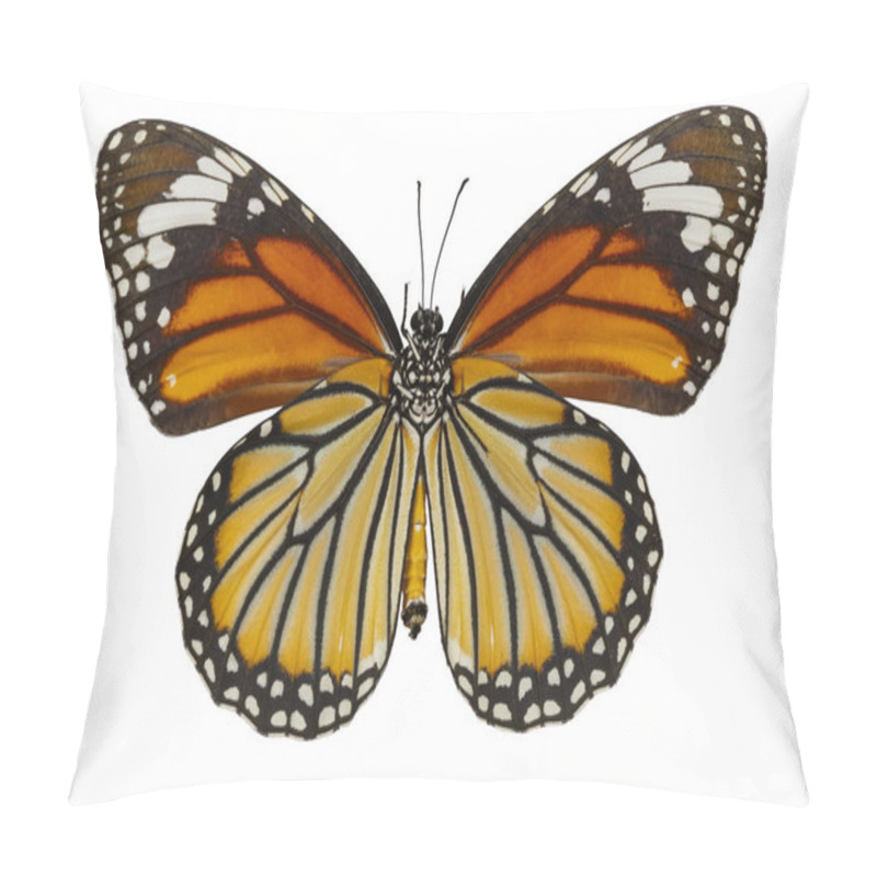 Personality  Bottom View Of Common Tiger Butterfly ( Danaus Genutia ) On Whit Pillow Covers