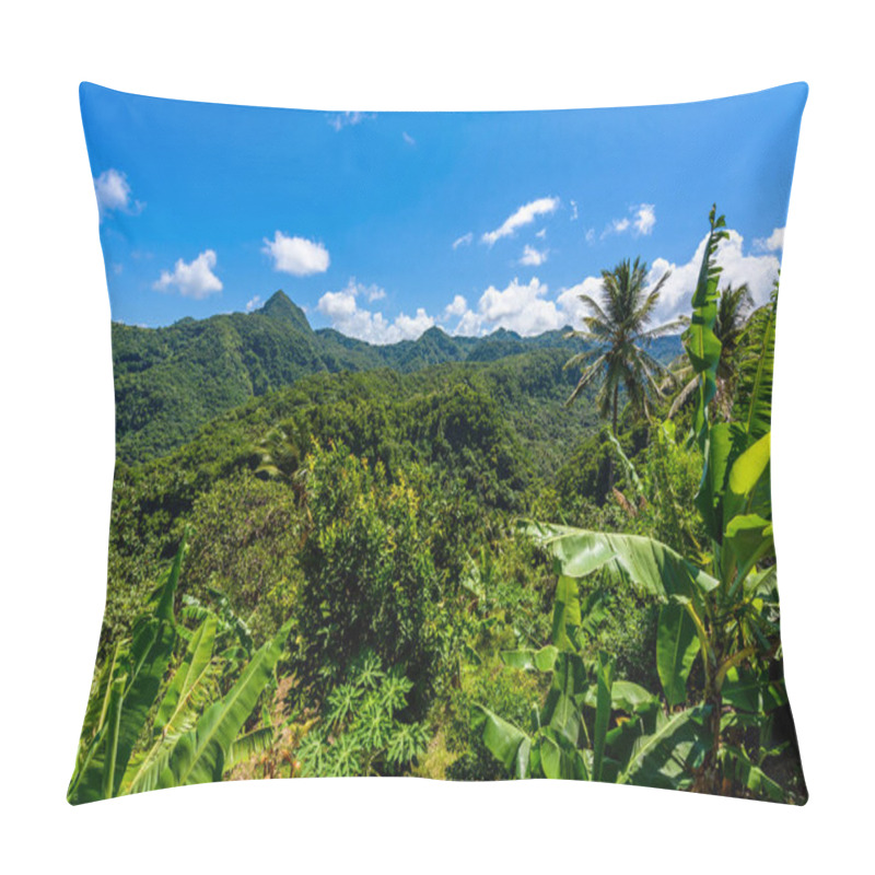 Personality  Tropical Rainforest On Caribbean Island Of St. Lucia. Pillow Covers