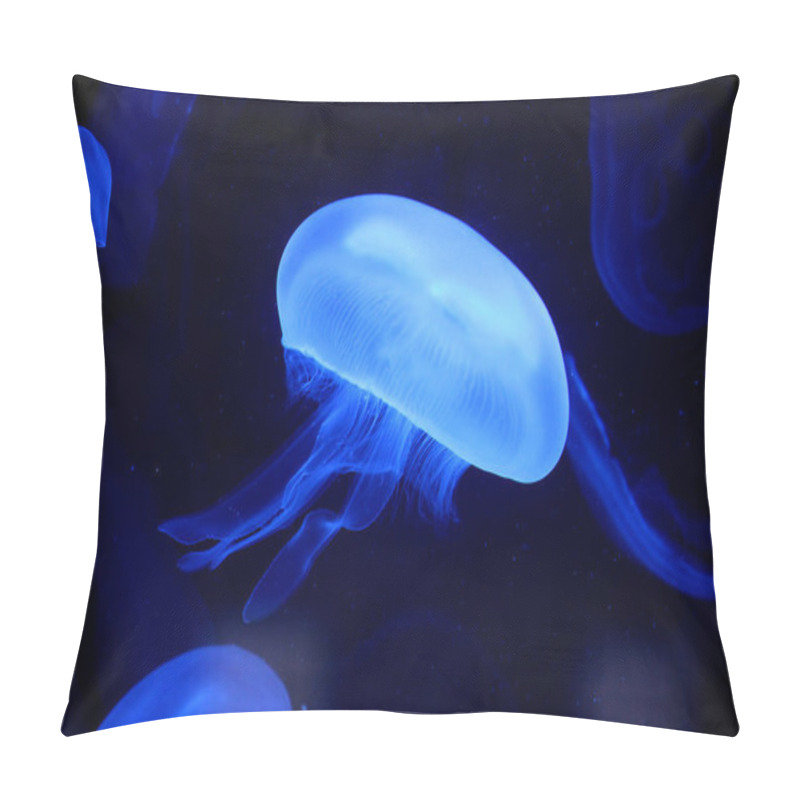 Personality  Jellyfish, Sea Underwater Fauna Pillow Covers