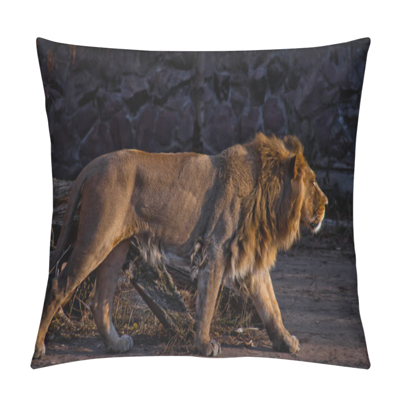 Personality  Indian (Asian) Lion Male With Mane Comes, Look In Profile. Pillow Covers