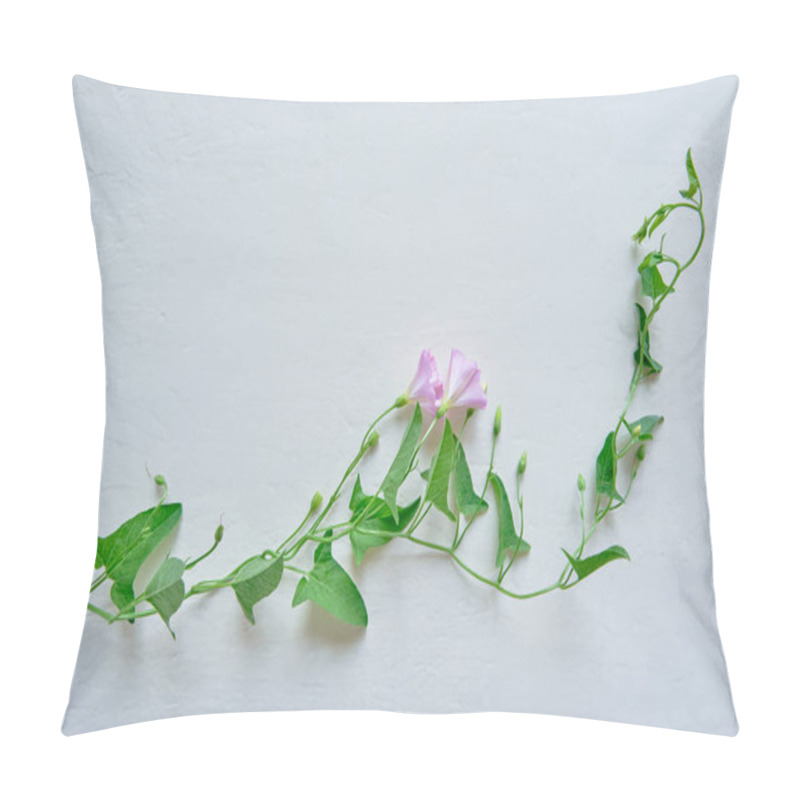 Personality  A Stem Of Field Bindweed With Two Delicate Flowers On A White Textured Background. Top View Copy Space Pillow Covers