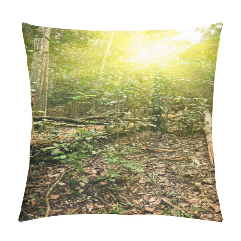 Personality  Sunlight In Tropical Jungle Forest Pillow Covers