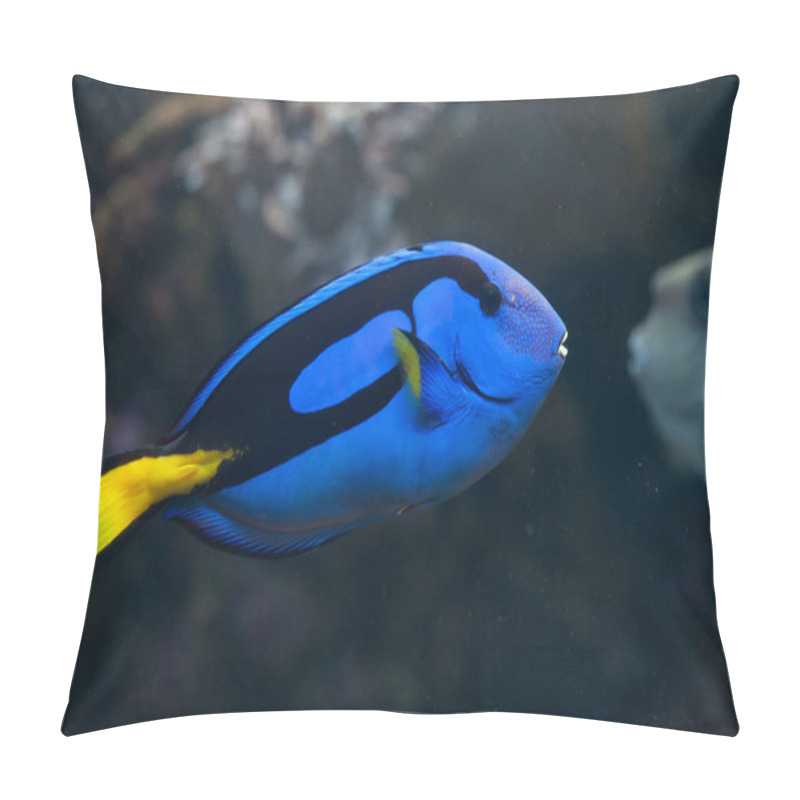 Personality  Blue Surgeonfish (Paracanthurus Hepatus). Pillow Covers