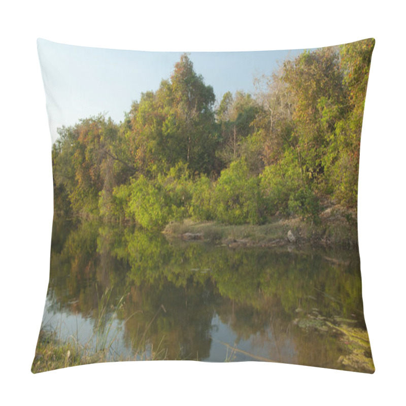 Personality  Hiran River As It Passes Through Sasan. Gir Sanctuary. Gujarat. India. Pillow Covers