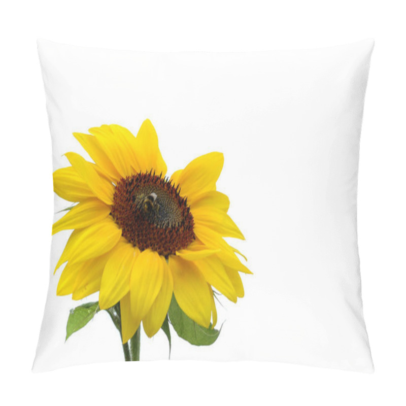 Personality  Sunflower Close Up View Pillow Covers