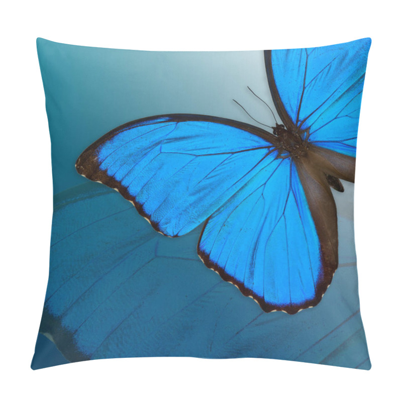 Personality  Blue Morpho Butterfly In Pile Up Layers, An Exotic Blue Butterfly On Blue Background Pillow Covers