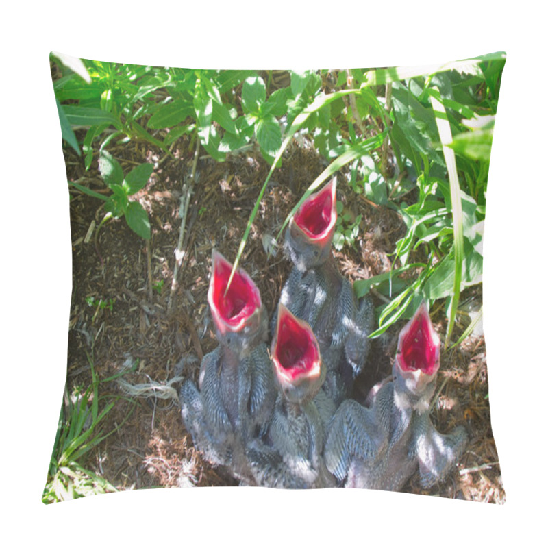 Personality  Red Hungry Drinks 1 Pillow Covers