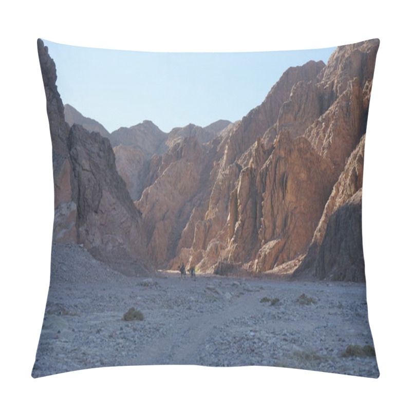 Personality  Camels Against The Background Of Mountains In The Picturesque Surroundings Of Dahab, South Sinai Governorate, Egypt   Pillow Covers