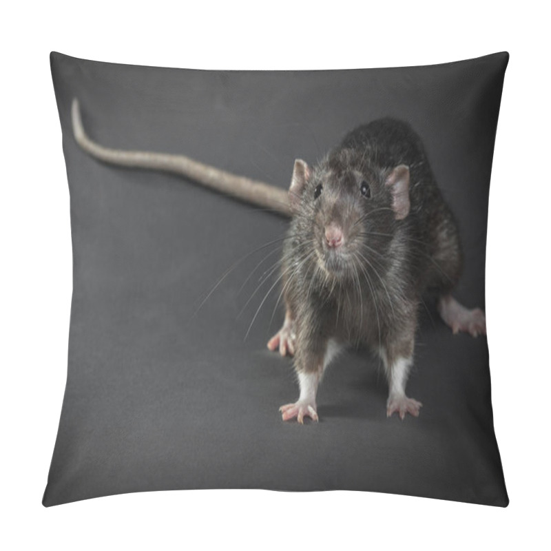 Personality  Animal Gray Rat Close-up  Pillow Covers