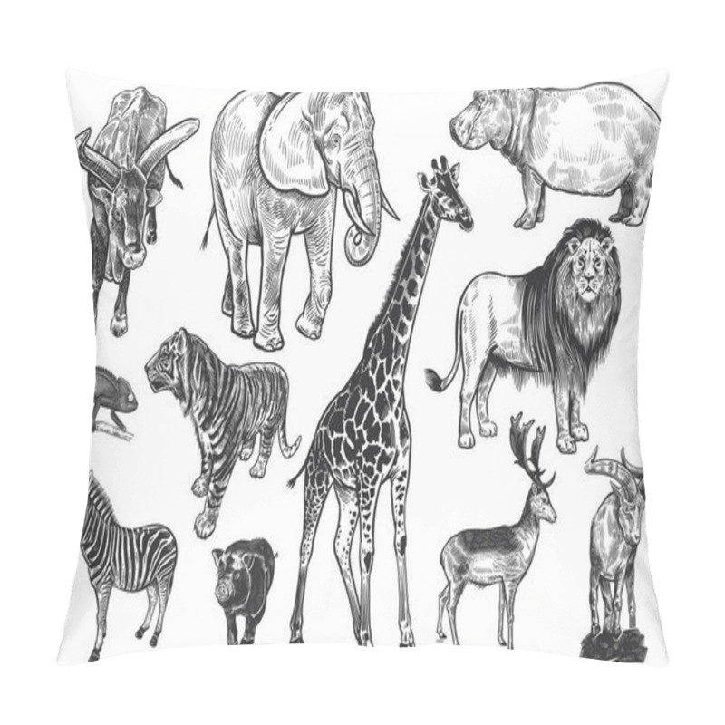 Personality  Animals Of Wildlife Set. Lion, Elephant, Giraffe, Tiger, Hippo, Zebra, Chameleon, Deer, Mountain Goat, Wild Pig And Big-horned Cow. Black And White Illustration. Vector. Vintage. Realistic Graphics. Pillow Covers