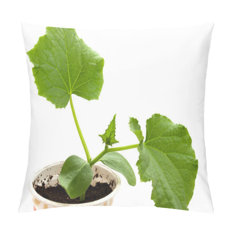 Personality  Cucumber Seedlings Pillow Covers