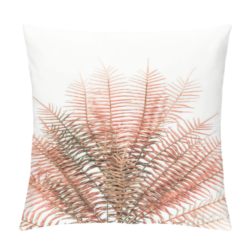 Personality  Elevated View Of  Beautiful Red Fern Branches Isolated On White  Pillow Covers