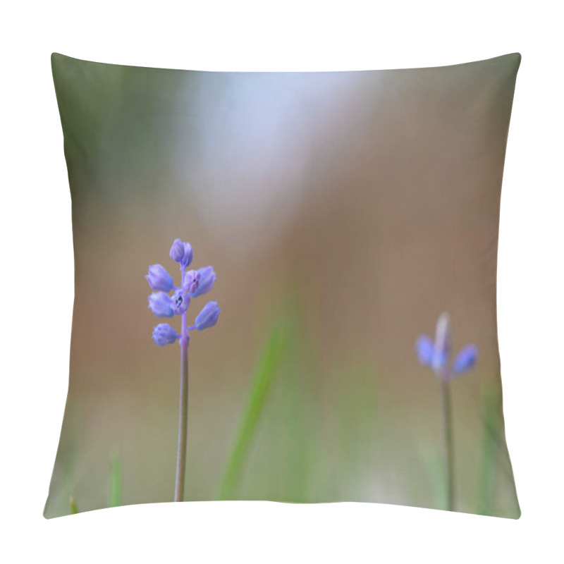 Personality  Tiny Violet Flowers Stand Tall Amidst Lush Greenery, Capturing The Essence Of Nature In A Tranquil Outdoor Atmosphere. Pillow Covers