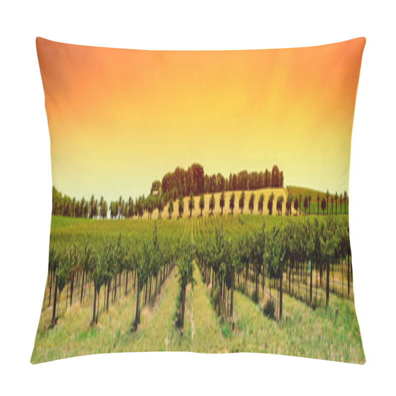 Personality  Vineyard Panorama Sunset Pillow Covers