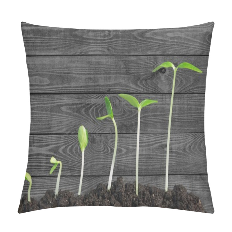 Personality  Growth Of New Life Pillow Covers