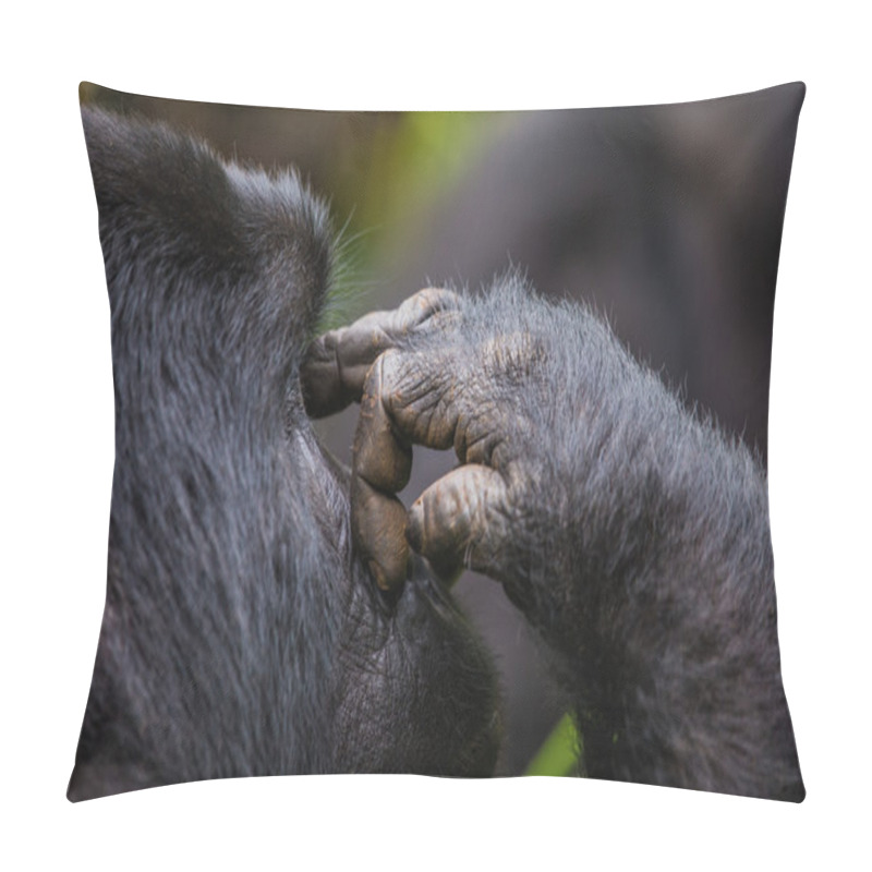 Personality  One Congo Gorilla Pillow Covers