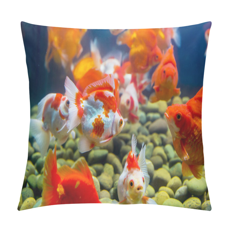 Personality  Goldfish In Aquarium With Green Plants, Snag And Stones Pillow Covers