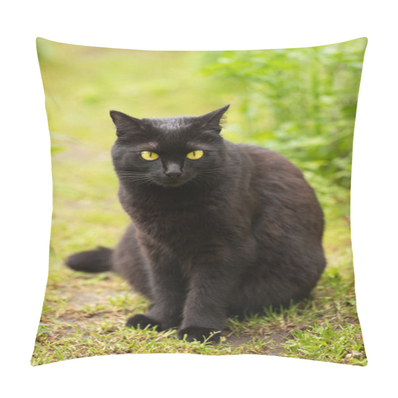 Personality  Beautiful Bombay Black Cat With Yellow Eyes. Cat Sit Outdoors In Nature In Autumn Garden Pillow Covers