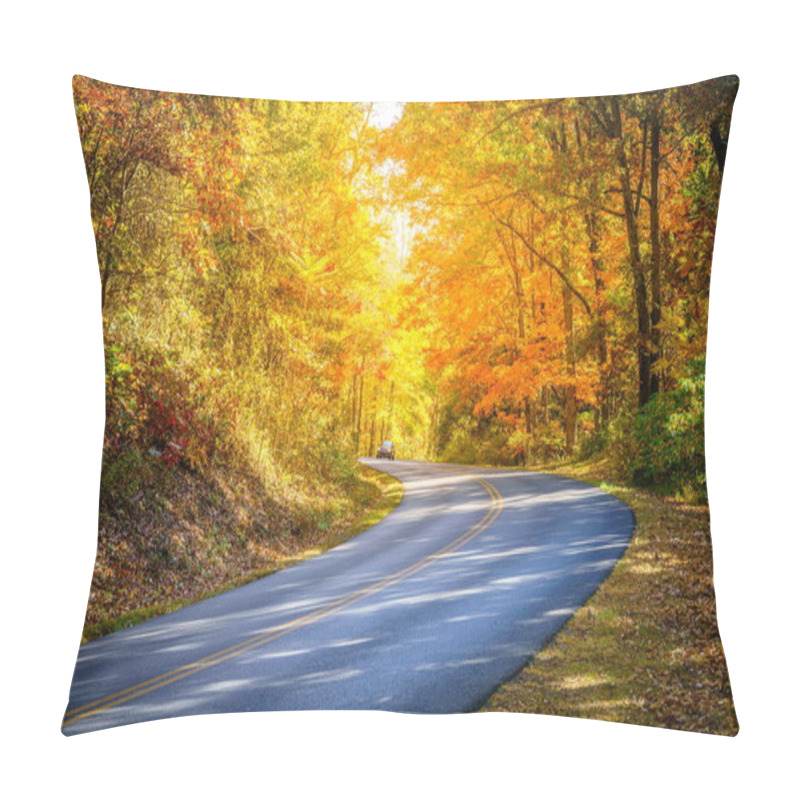 Personality  Blue Ridge Parkway Winding Through The Woods In Fall Near Asheville, North Carolina Pillow Covers