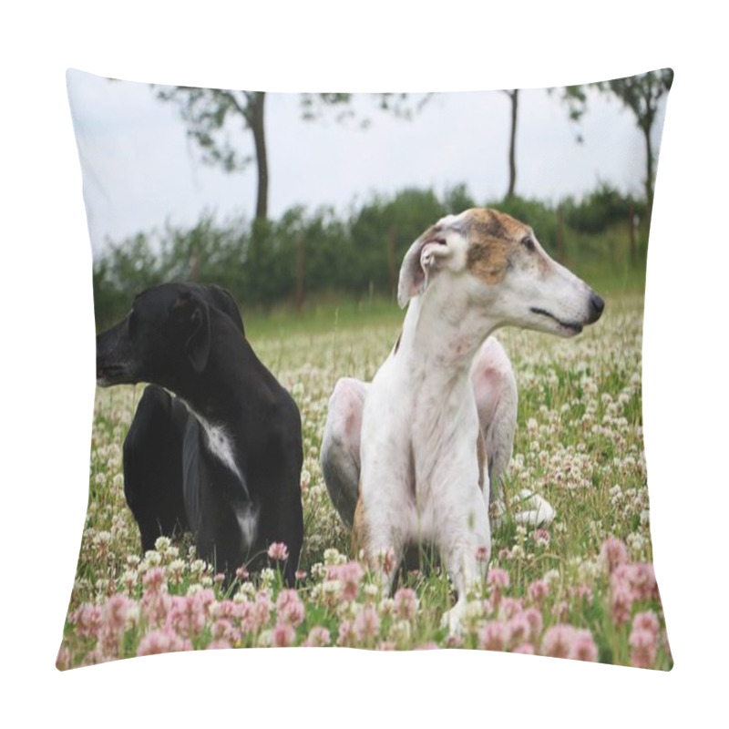 Personality  Two Beautiful Galgos Are Lying In A Clover Field In The Garden Pillow Covers