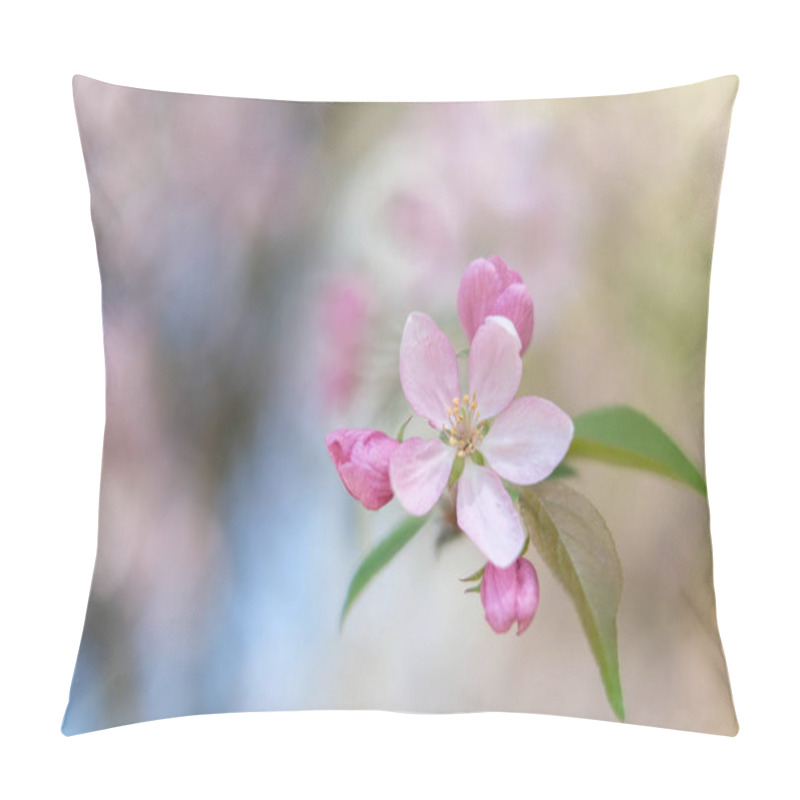 Personality  Spring Blossoming Tree With Pink Flowers, Close Up Pillow Covers