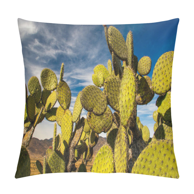 Personality  Edible Opuntia Cactus Growing In Warm Parts Of Our Planet, Mexican Healthy Delicatesy, Opuntia As Typical Tenerife Plant, Natural Food Pillow Covers