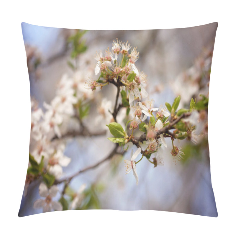 Personality  Cherry Blossoms Over Blurred Nature Background, Spring Flowers Pillow Covers