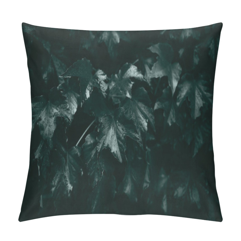 Personality  Ivy Leaves, Autumn Background Concept Pillow Covers