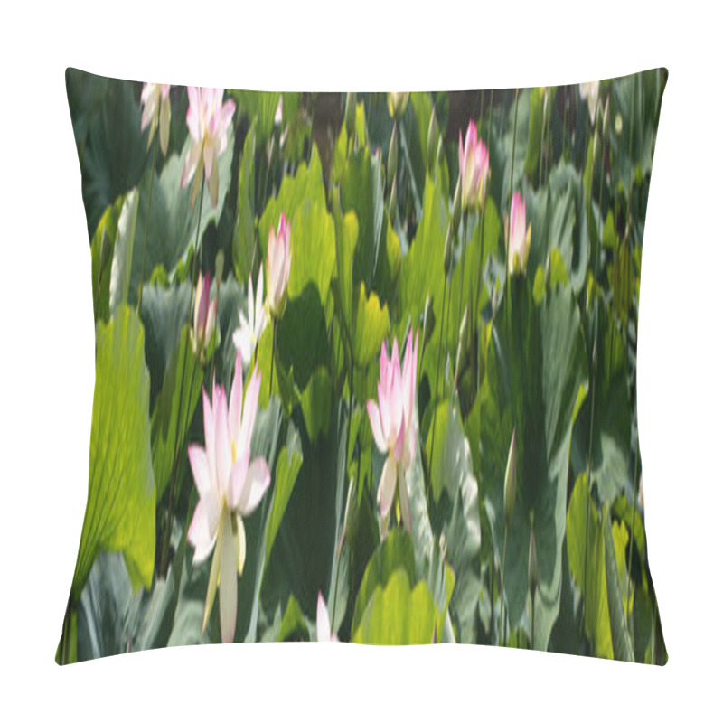 Personality  Group Of Lotus Stems, Leaves And Flowers Blooming, Panoramic View Pillow Covers