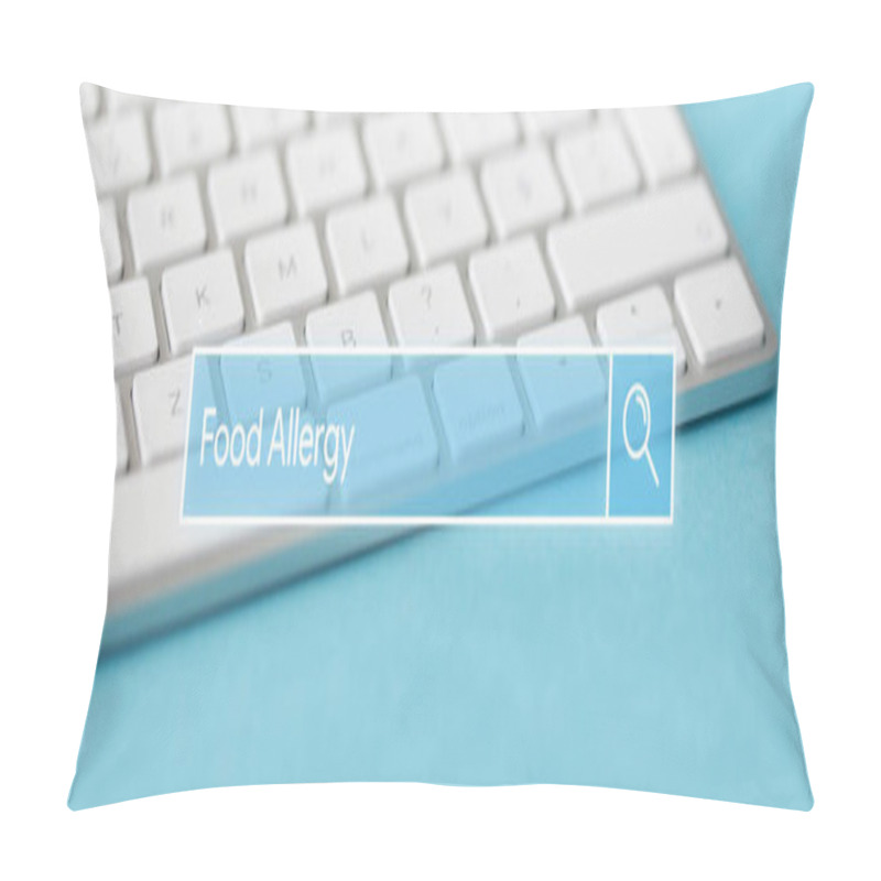 Personality  Search Engine Concept Pillow Covers