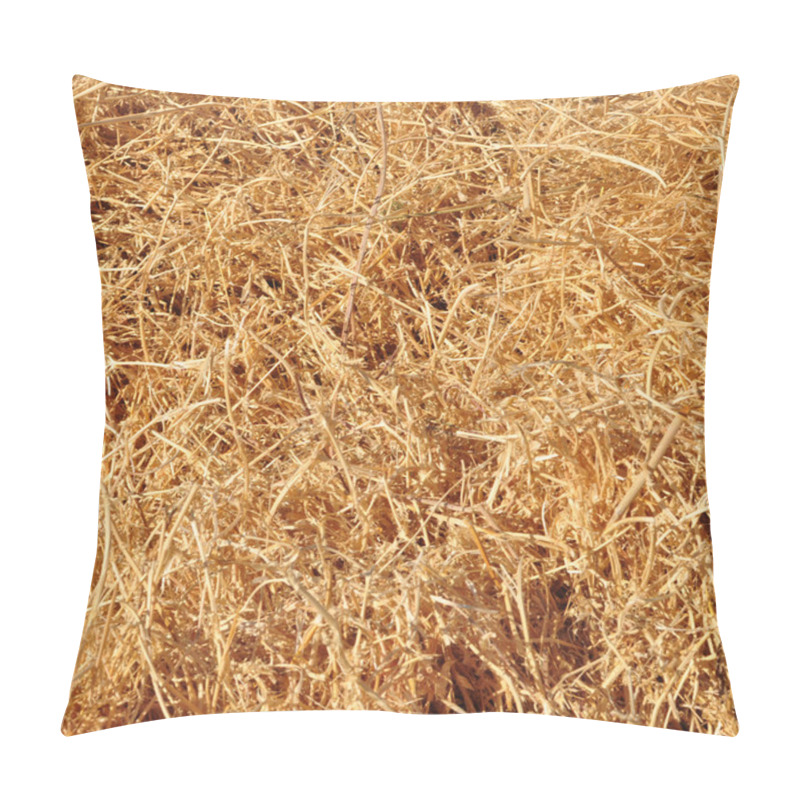 Personality  Abstract Background Made From Straw Pillow Covers