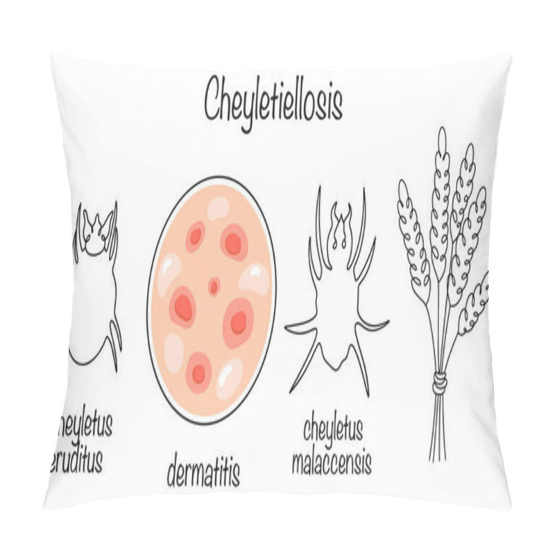 Personality  Acariasis Caused By Mites Of The Genus Cheyletus And Characterized By Dermatitis. A Hand-drawn Illustration On The Theme Of Parasitic Diseases That Affect Humans. Vector Illustration. Cheyletiellosis Pillow Covers