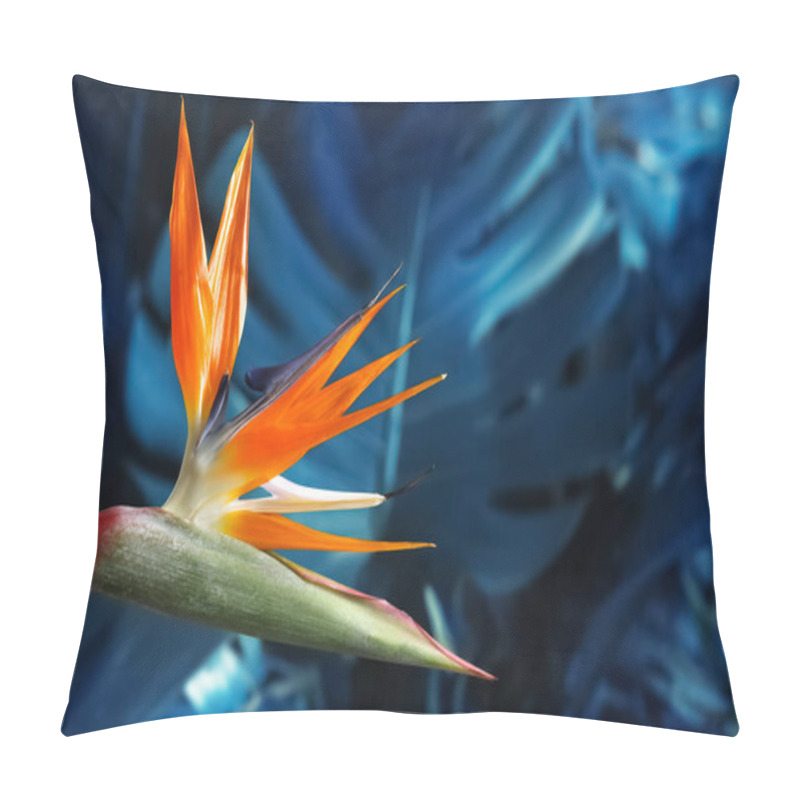 Personality  Bird Of Paradise Tropical Flower On Blurred Background, Closeup. Space For Text Pillow Covers