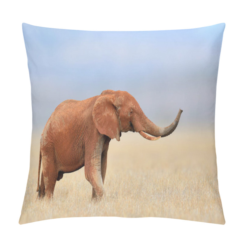 Personality  African Elephant, Masai Mara National Park, Kenya. Pillow Covers