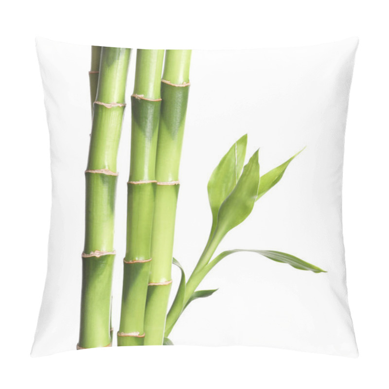 Personality  Green Bamboo Stems With Leaves On White Background Pillow Covers