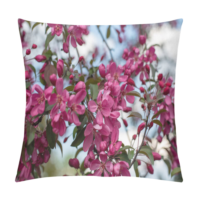 Personality  Close-up View Of Delicate Pink European Crab Apple Flowers In Full Bloom, Showcasing Their Natural Beauty Pillow Covers