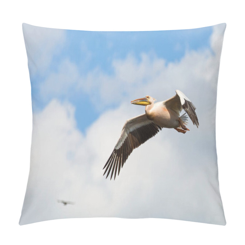 Personality  Great White Pelican Pillow Covers