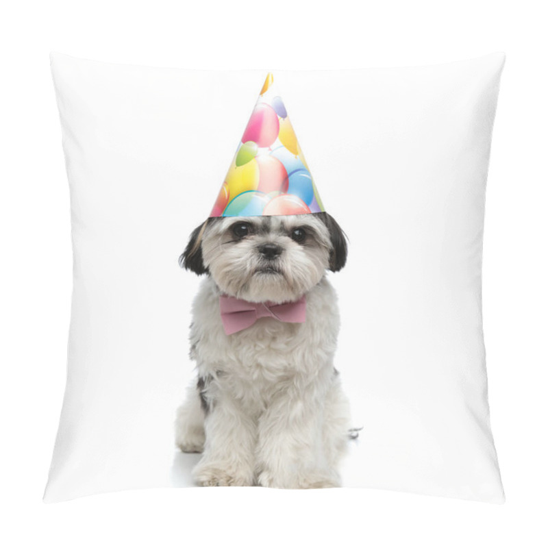 Personality  Elegant Shih Tzu Sitting On Whtie Background While Wearing Birthday Hat Pillow Covers