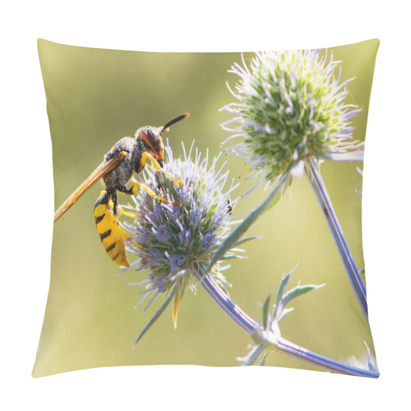 Personality  Wasp Sitting On A Field Plant. Wasp. A Small Wasp Sits On A Flower Of A Blue Thorny Plant. Prickly Eryngium Caeruleum, Yellow-bellied Wasp, Blurred Background, Close-up Pillow Covers